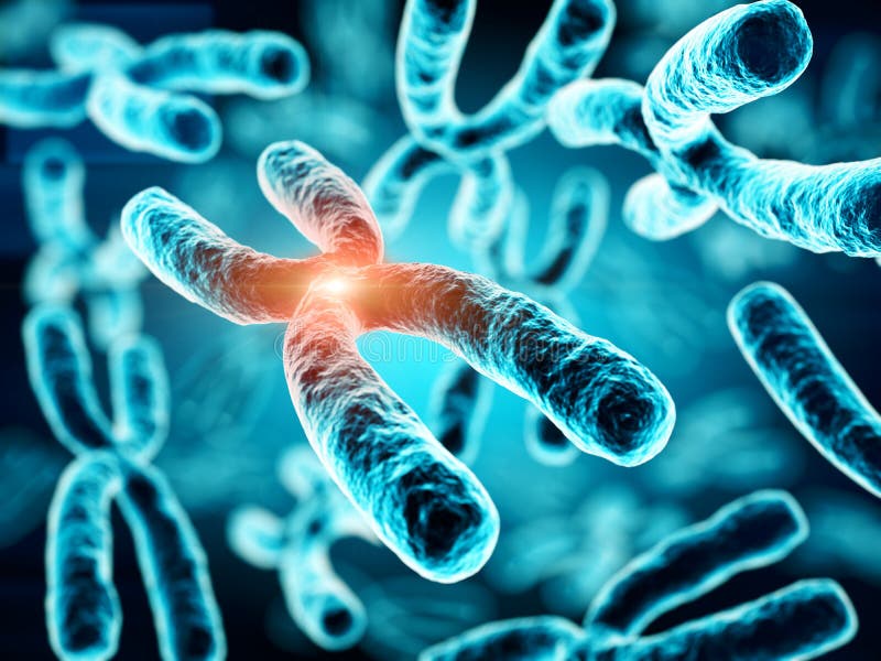 image of blue chromosomes on black background with red highlight in middle of image