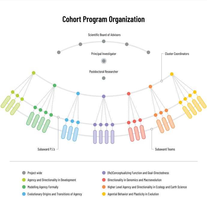 Cohort Program Organization