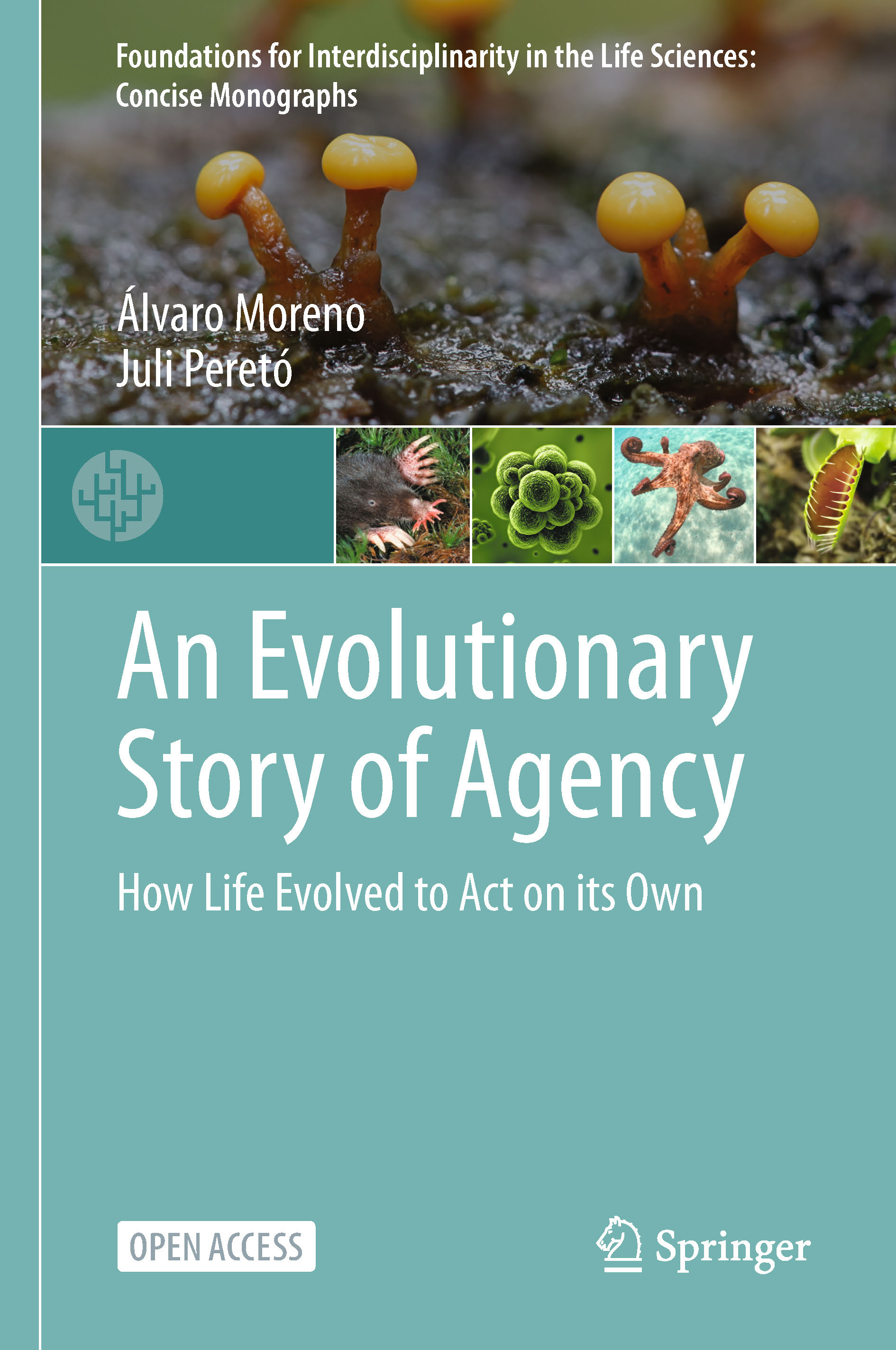 Alvaro's book - volume 2 in series